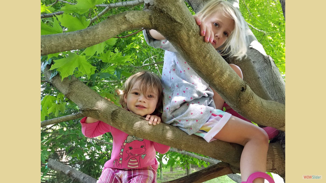 Adeline and Nora climing a tree